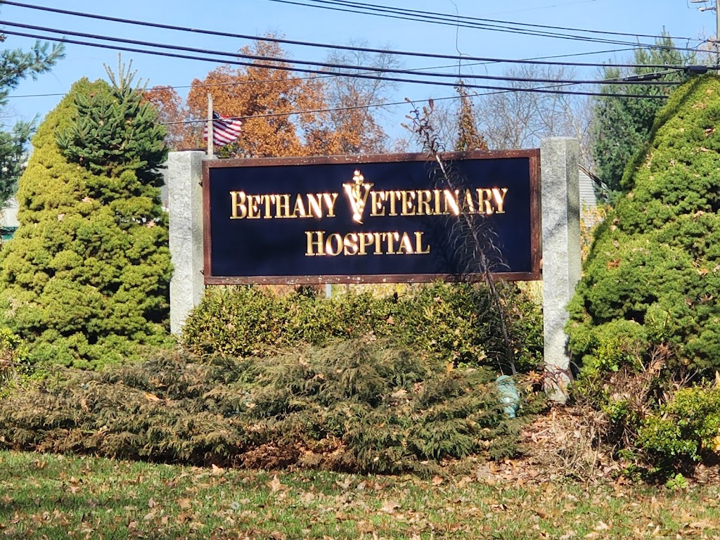 Bethany Veterinary Hospital | 782 Amity Rd, Bethany, CT 06524 | Phone: (203) 393-3650