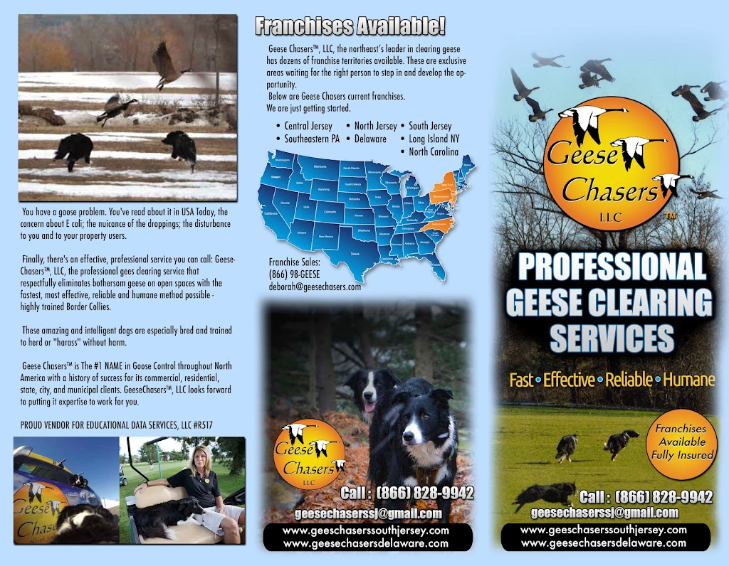 Geese Chasers - SOUTH JERSEY | 2237 Auburn Ave, Atco, NJ 08004 | Phone: (866) 828-9942