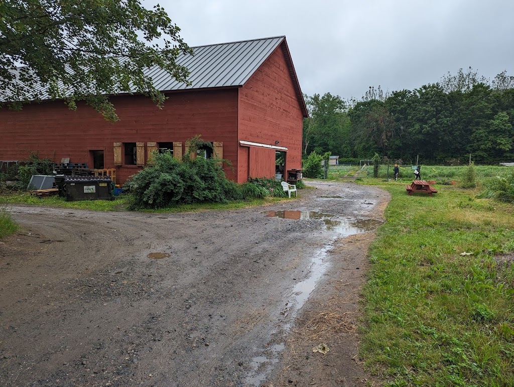 Holcomb Farm CSA Farm & Farm Store | 111 Simsbury Rd, West Granby, CT 06090 | Phone: (860) 844-8616