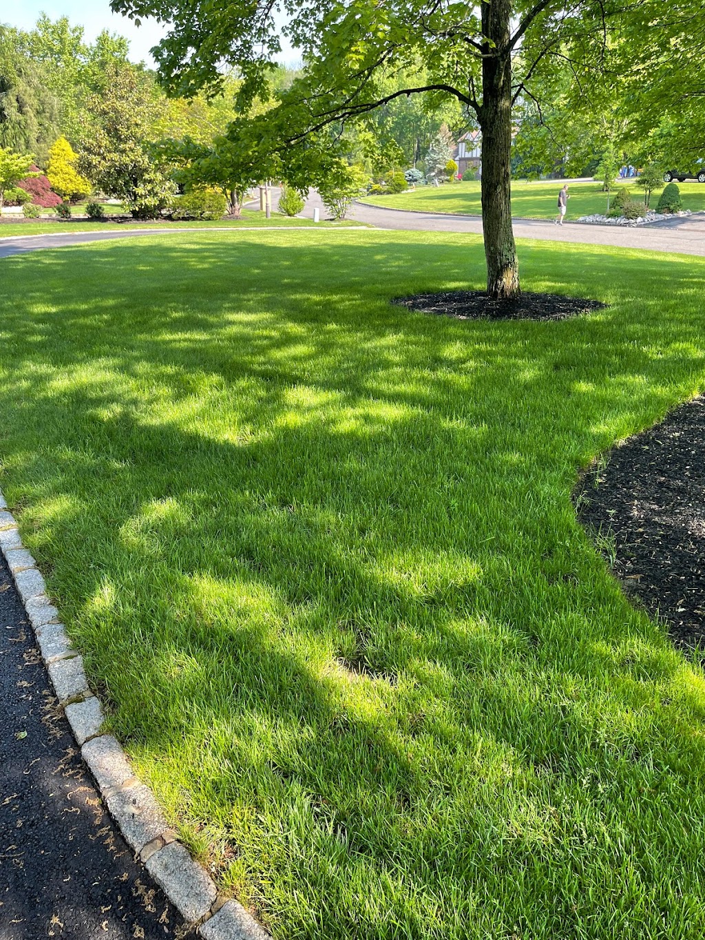 The Lawn Techs | 43 Industrial Rd, Berkeley Heights, NJ 07922 | Phone: (888) 529-6832