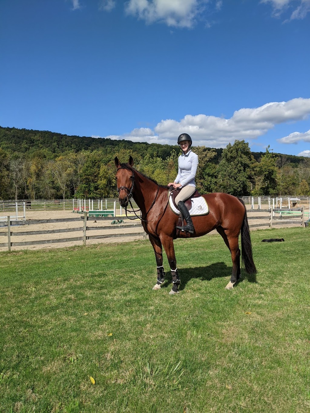 Kohler Equestrian, LLC | 6 Pueblo Pkwy, Sparta Township, NJ 07871 | Phone: (973) 978-9152