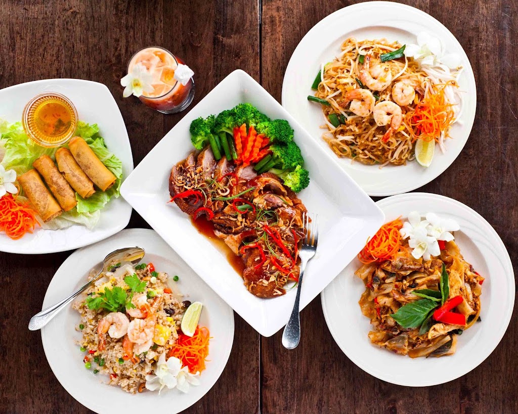 Rice & Curry I Thai & Asian Bistro | 521 Limekiln Pike, Maple Glen, PA 19002 | Phone: (215) 390-1945