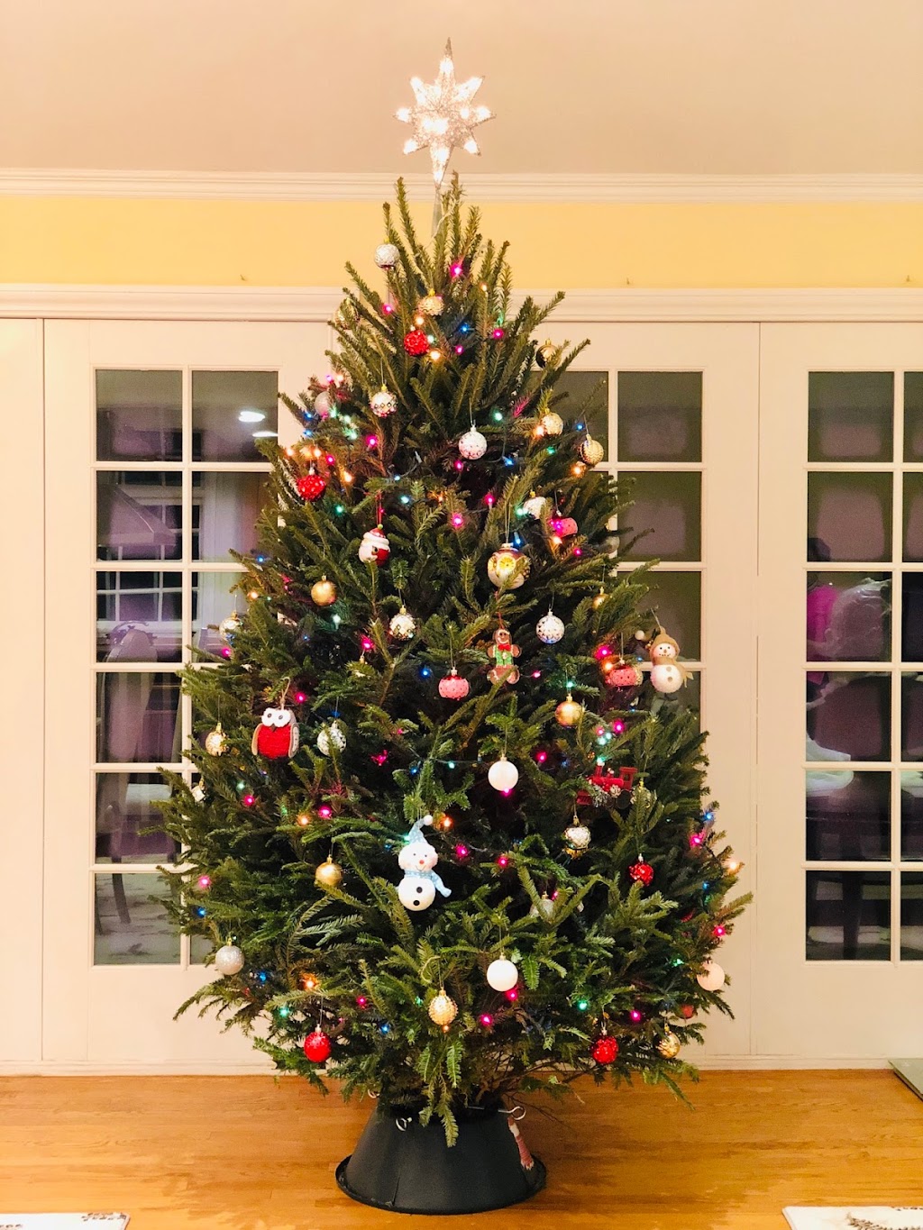 Christmas Tree Nursery Farm | 399 Atlantic Ave, Oceanside, NY 11572 | Phone: (516) 543-7240