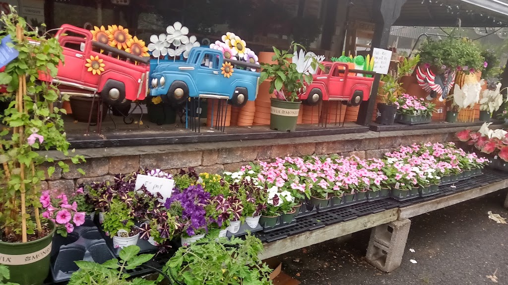 Oak Leaf Garden center and florist | 380 Springfield Ave, Westfield, NJ 07090 | Phone: (908) 264-7824