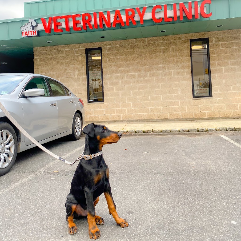 Faith Veterinary Clinic | 2202 Route 130 North, Church Lane Plaza, US-130, North Brunswick Township, NJ 08902 | Phone: (732) 658-6777