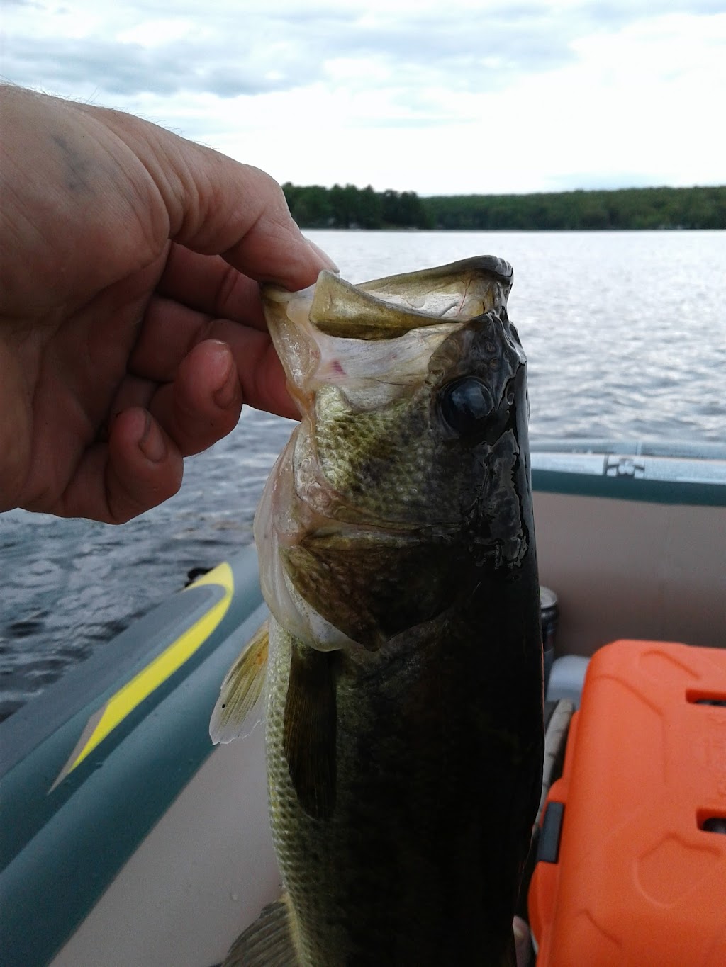 Lakeside Dans | Launching Area Rd. Upper Moodus Reservoir Boat Launch, East Haddam, CT 06423 | Phone: (860) 759-3054