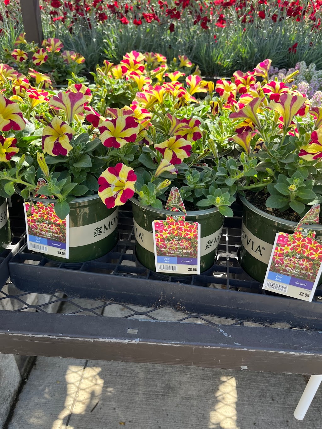 Lowes Garden Center | 5005 Edgmont Ave, Brookhaven, PA 19015 | Phone: (610) 990-8186