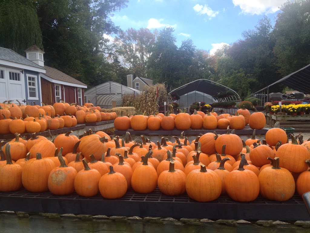 Celtic Farms & Nursery and Sheds | 1451 Strawberry Rd, Shrub Oak, NY 10588 | Phone: (914) 526-4437