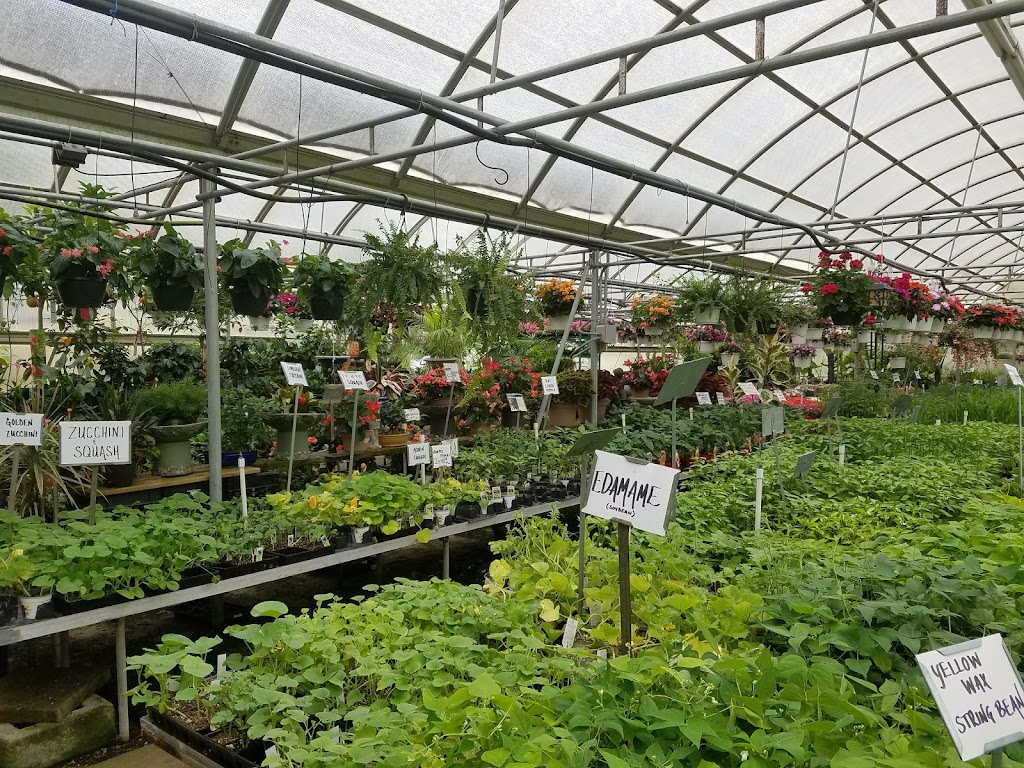 Sea Grove Garden Center | 2661 US-9, Ocean View, NJ 08230 | Phone: (609) 624-3540