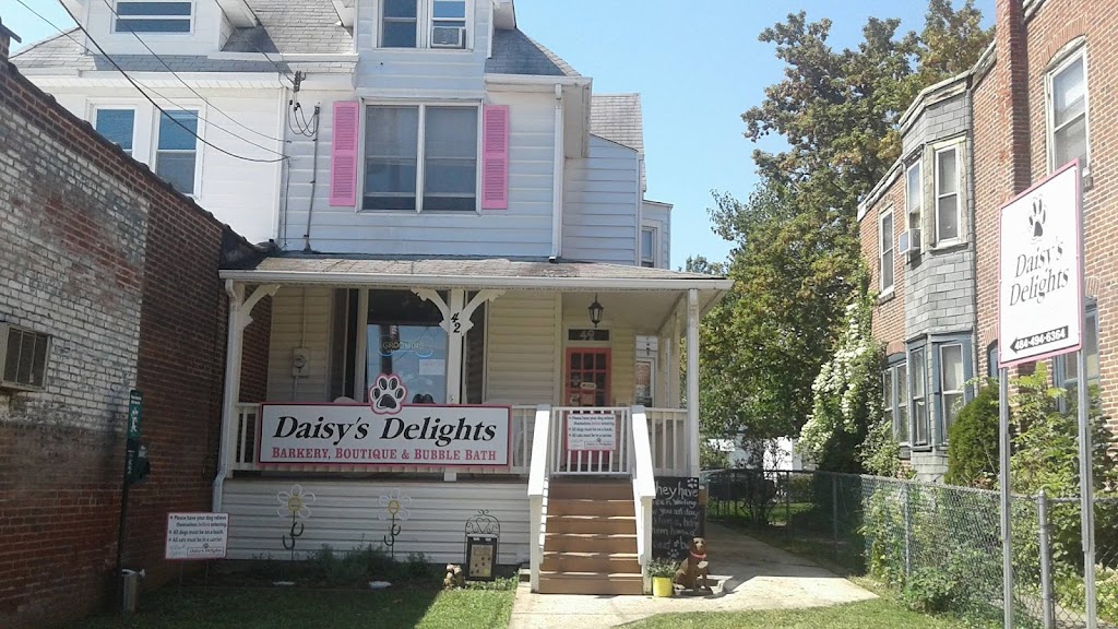 Daisys Delights | 42 W Winona Ave, Norwood, PA 19074 | Phone: (484) 494-6364