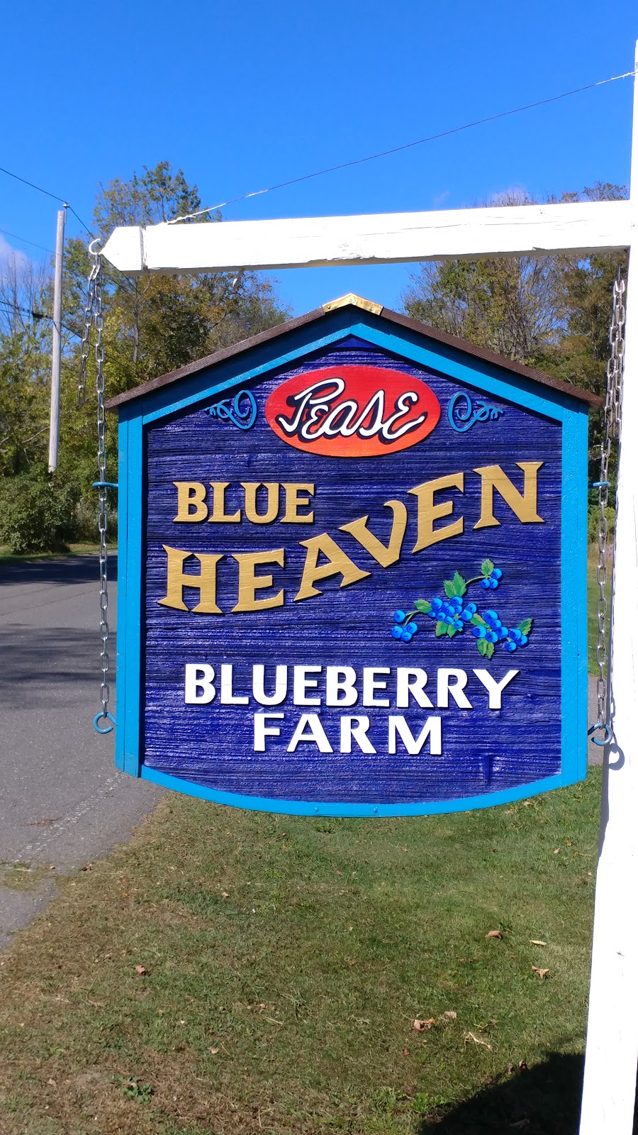 Blue Heaven Blueberries & Raspberries | 246 Skyline Trail, Middlefield, MA 01243 | Phone: (413) 623-8846