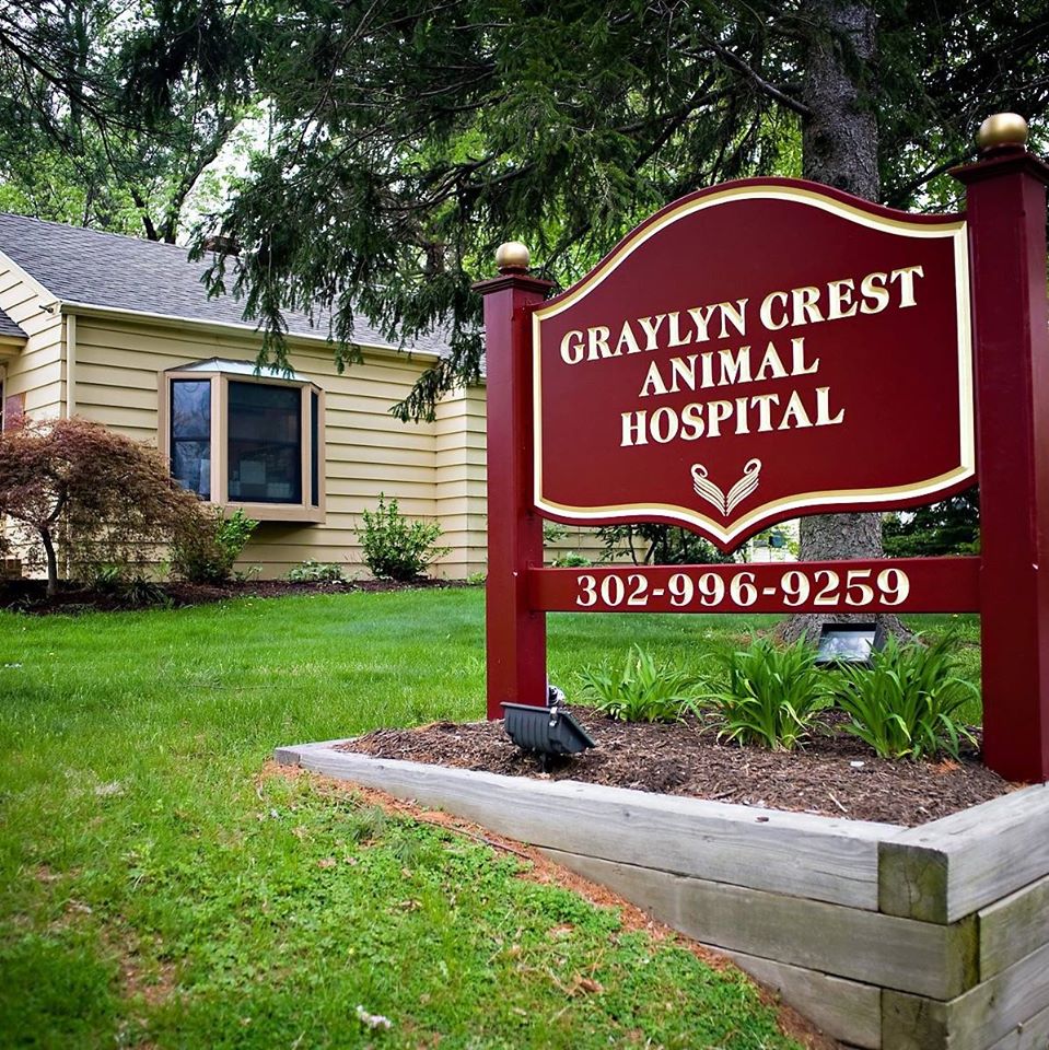 Graylyn Crest Animal Hospital | 2006 Marsh Rd, Wilmington, DE 19810 | Phone: (302) 996-9259