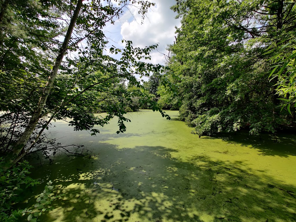 Heritage Conservancys Jackson Pond Preserve | Furlong, PA 18925 | Phone: (215) 345-7020