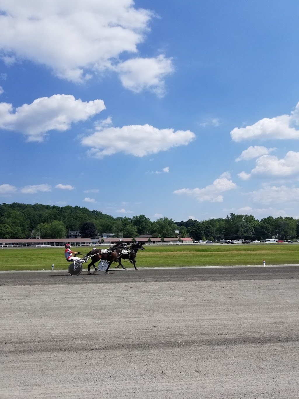 Harness Racing Museum & Hall Of Fame | 240 Main St, Goshen, NY 10924 | Phone: (845) 294-6330