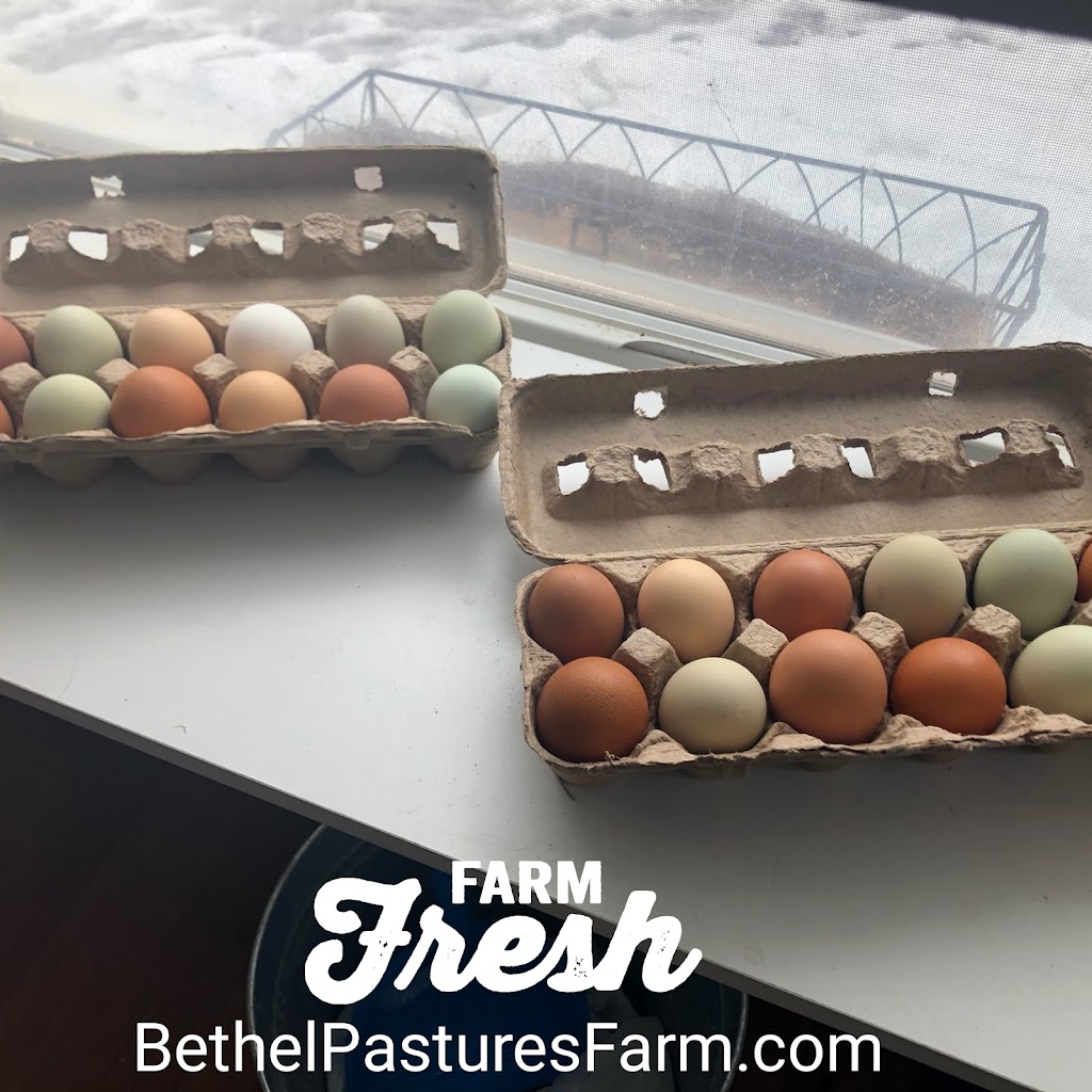 Bethel Pastures Farm Bed & Breakfast | 181 Remenschneider Rd, Jeffersonville, NY 12748 | Phone: (914) 425-5838