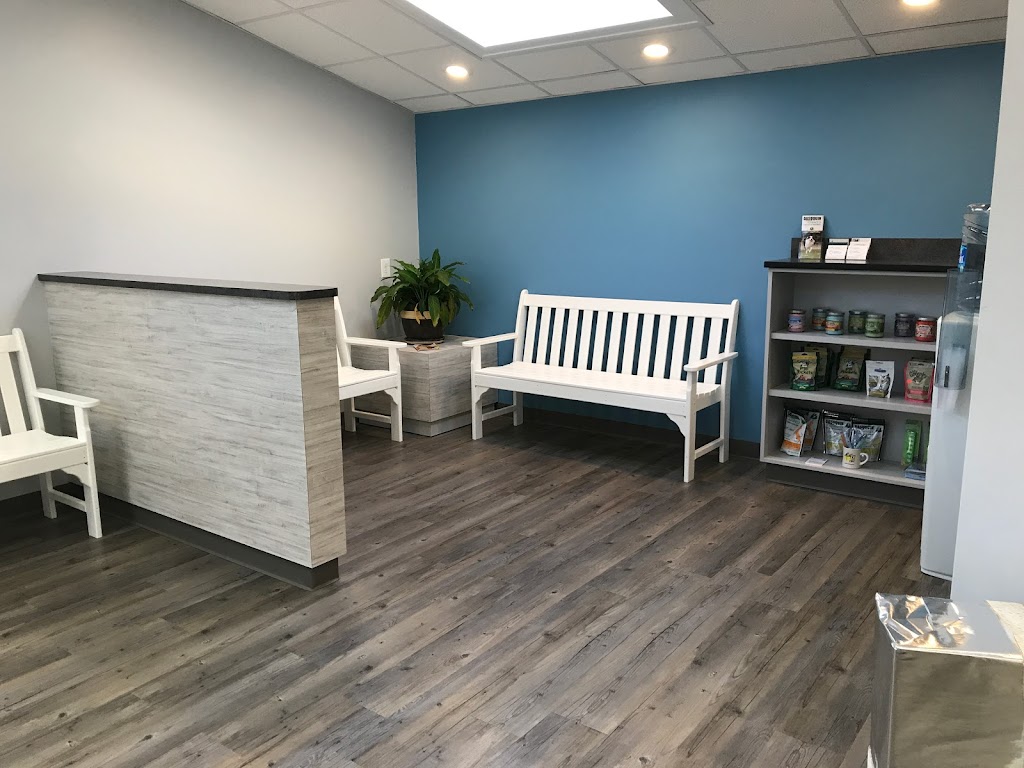 Clementon Animal Hospital | 210 White Horse Pike, Clementon, NJ 08021 | Phone: (856) 784-2304