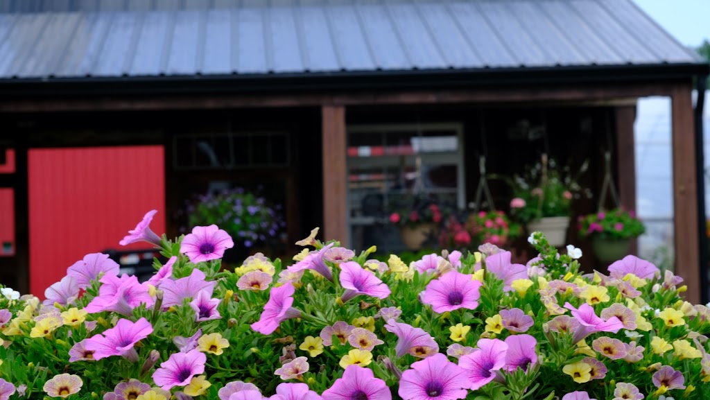 Hartland Flower & Garden Supply | 104 Millhurst Rd, Manalapan Township, NJ 07726 | Phone: (732) 620-5208