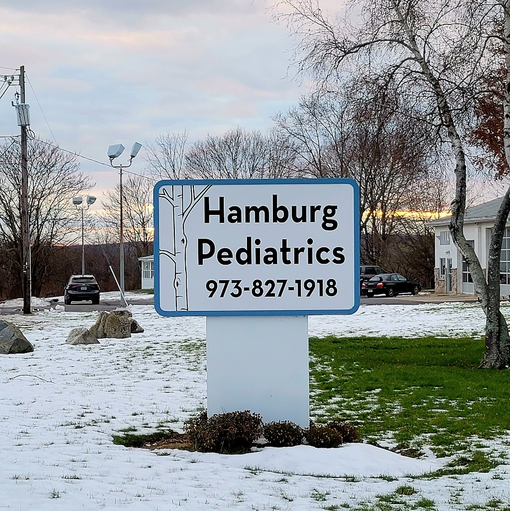 Hamburg Pediatrics (Dr. Markel) A Member of Consensus Health | 3617 NJ-94, Hamburg, NJ 07419 | Phone: (973) 827-1918