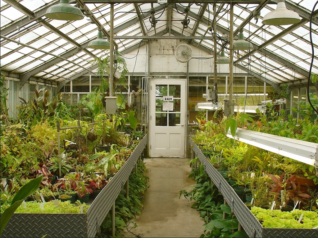 A Plant Nursery & Garden Center | 395 Atlantic Ave, Oceanside, NY 11572 | Phone: (516) 903-1723