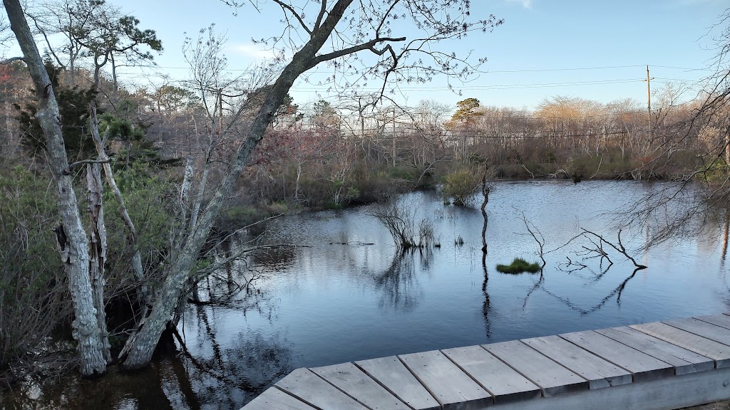 Quogue Wildlife Refuge | 3 Old Country Rd, Quogue, NY 11959 | Phone: (631) 653-4771