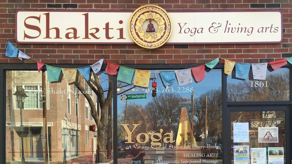 Shakti Yoga & Living Arts | 1861 Springfield Ave A, Maplewood, NJ 07040 | Phone: (973) 763-2288