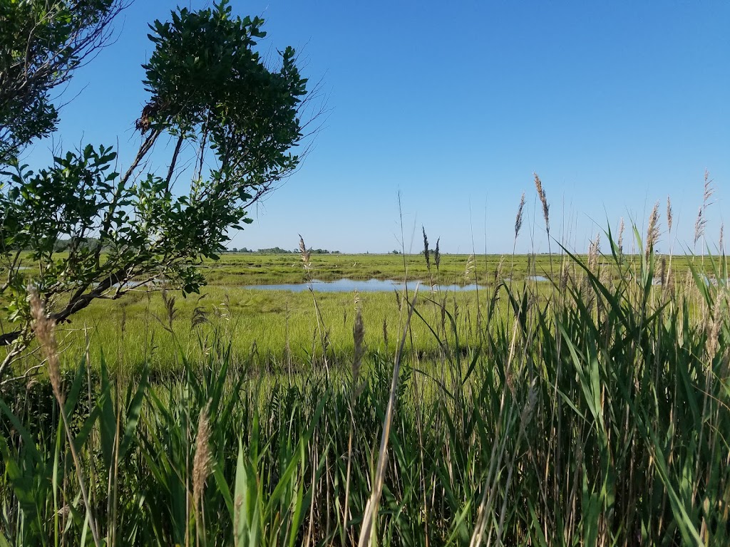 Manahawkin Wildlife Management Area | Stafford Township, NJ 08050 | Phone: (609) 652-1665