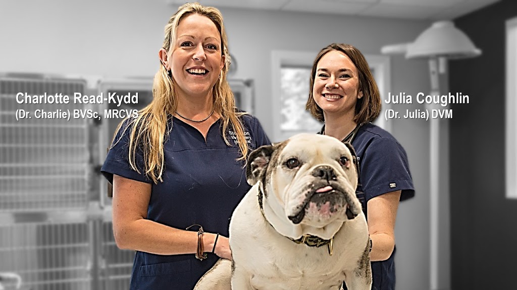 Stockton Veterinary Hospital | 56 S Main St, Stockton, NJ 08559 | Phone: (609) 483-2590