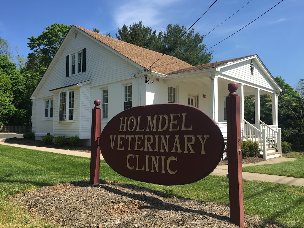 Holmdel Veterinary Clinic | 959 Holmdel Rd, Holmdel, NJ 07733 | Phone: (732) 946-7163