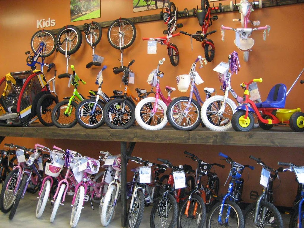 Dannys Cycles Darien | 1950 Boston Post Rd, Darien, CT 06820 | Phone: (203) 355-0002