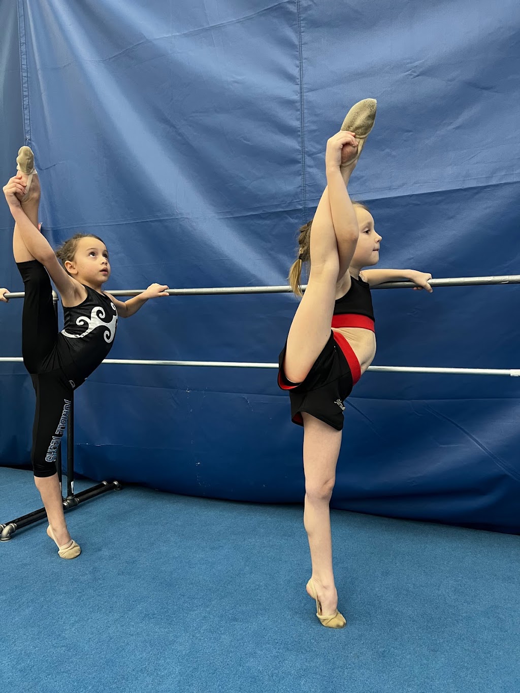 Sky Aesthetic Gymnastics | 21-05 Morlot Ave, Fair Lawn, NJ 07410 | Phone: (973) 997-3561