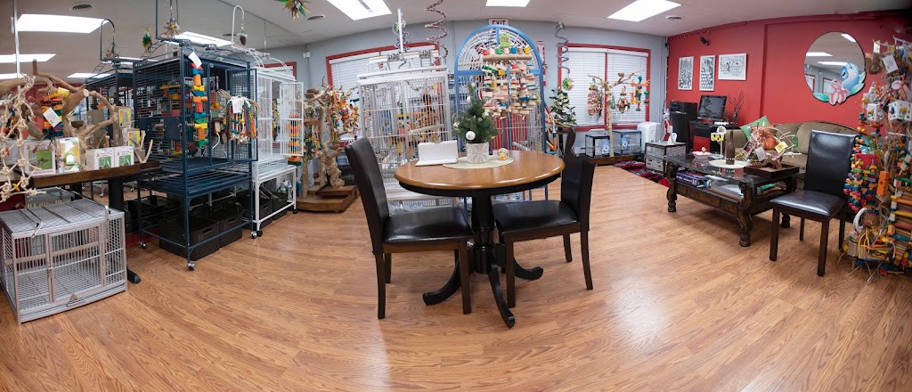 Anas Parrots and Supplies | 1635 Cherry Lane Rd, Analomink, PA 18320 | Phone: (646) 496-5005