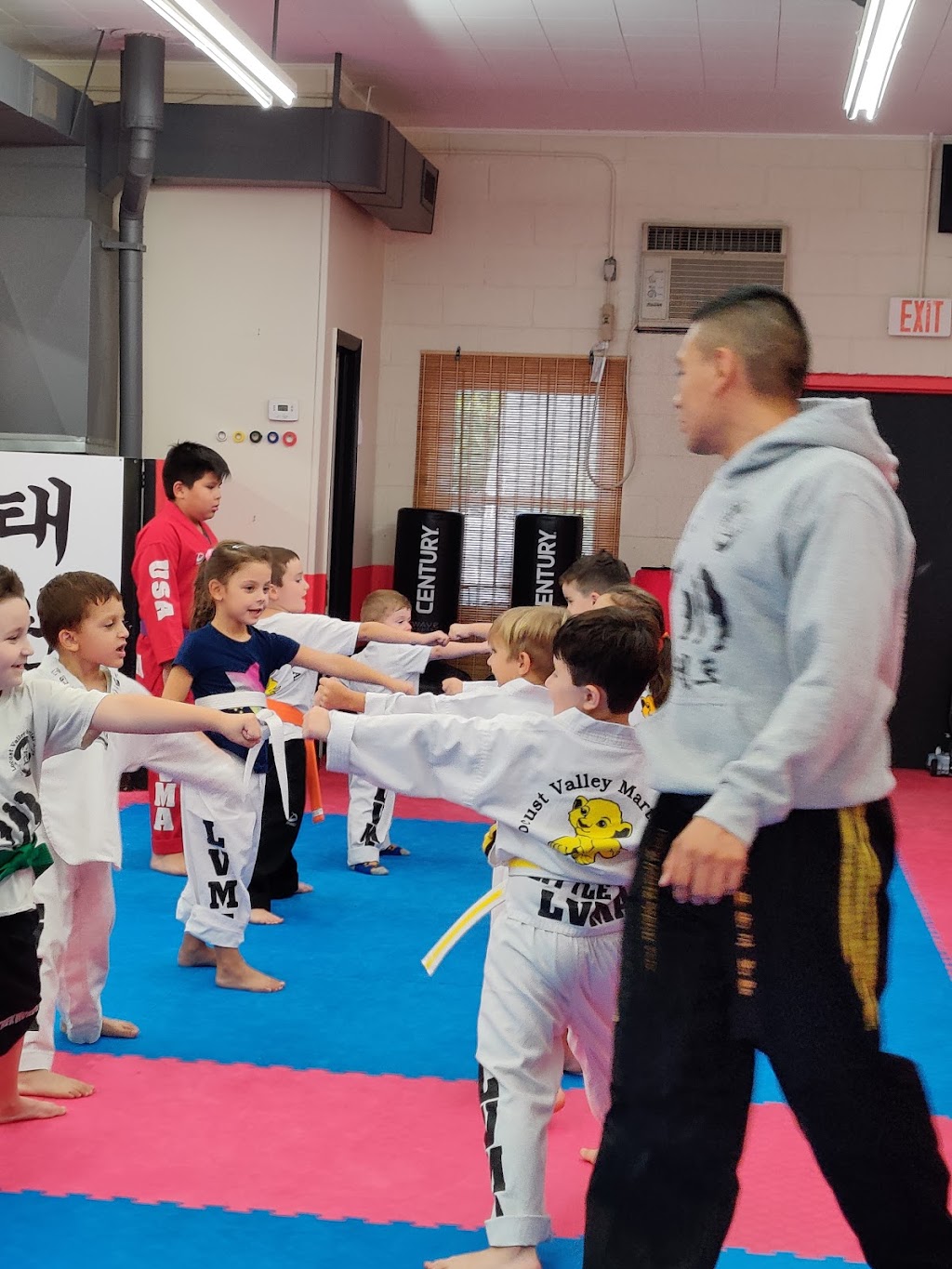Locust Valley Martial Arts Long Island | 196 Forest Ave, Locust Valley, NY 11560 | Phone: (516) 671-1715