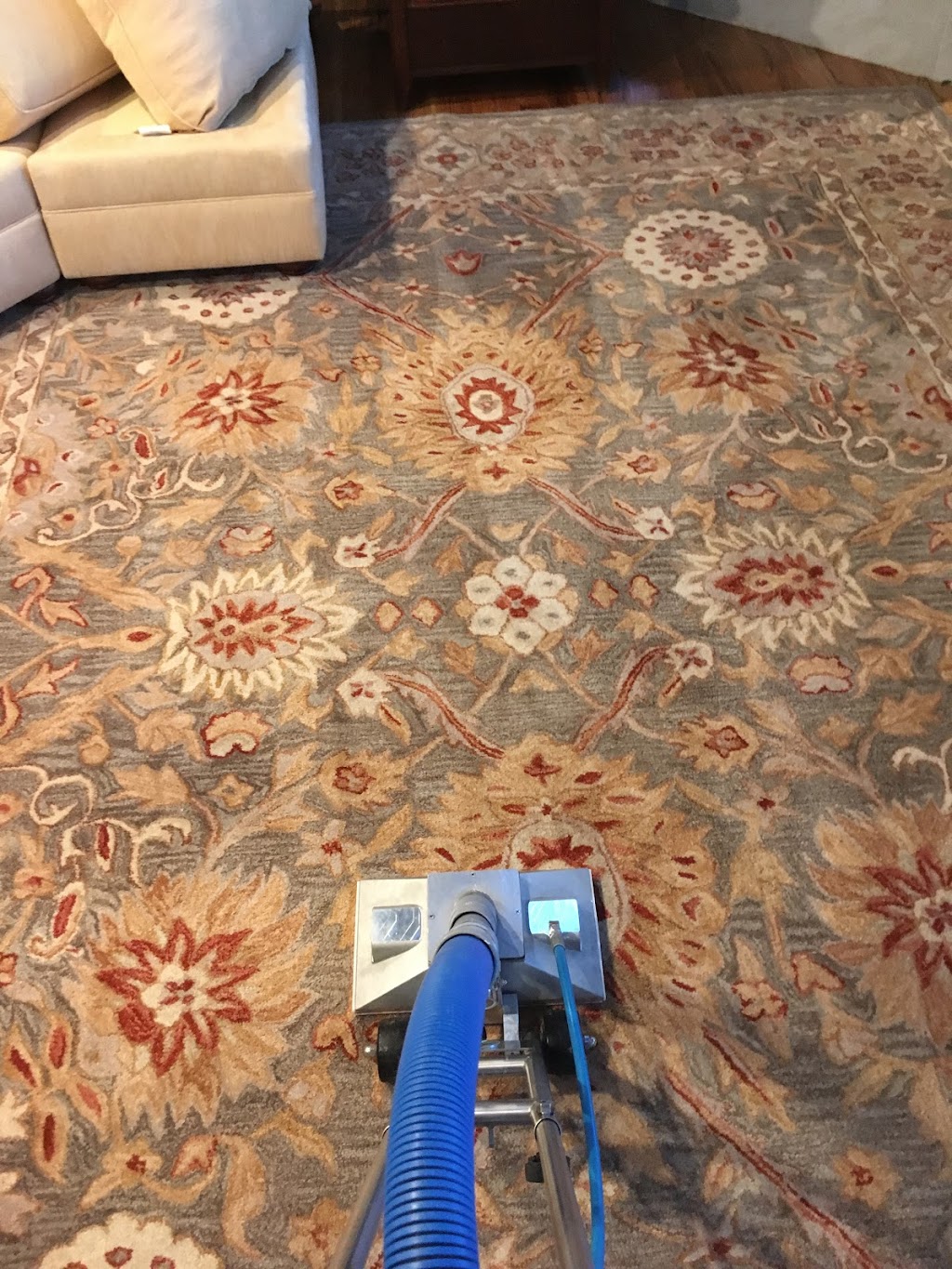 New Jersey’s Best Carpet & Tile Cleaning | 416 Crestview Terrace, Brick Township, NJ 08723 | Phone: (732) 800-9866