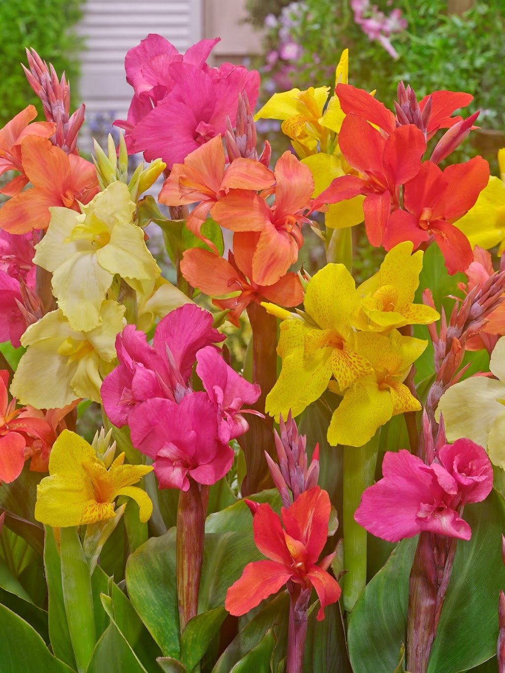 Garden State Bulb Co. | 2720 Industrial Way Suite B, Vineland, NJ 08360 | Phone: (856) 205-9300