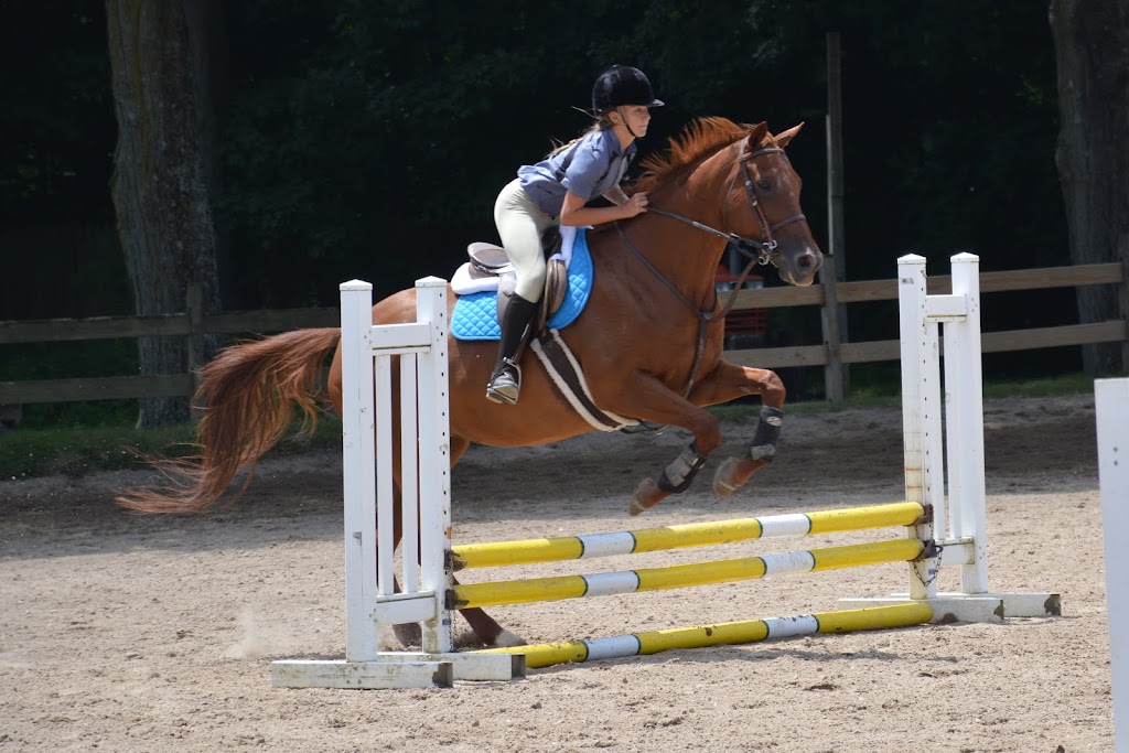 Thomas School Of Horsemanship Summer Day Camp & Riding School | 250 Round Swamp Rd, Melville, NY 11747 | Phone: (631) 692-6840