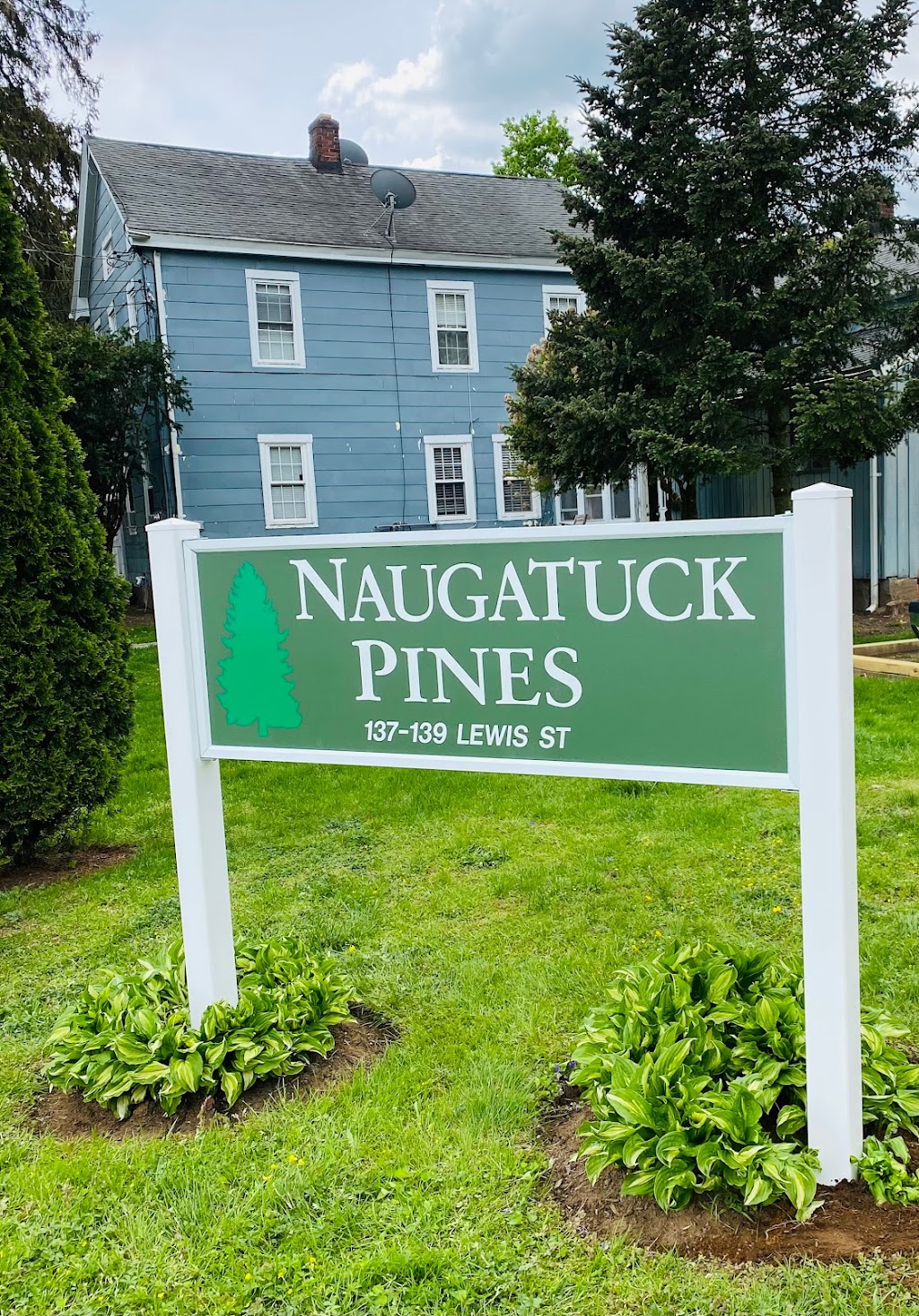 Naugatuck Pines | 139 Lewis St, Naugatuck, CT 06770 | Phone: (310) 403-1873