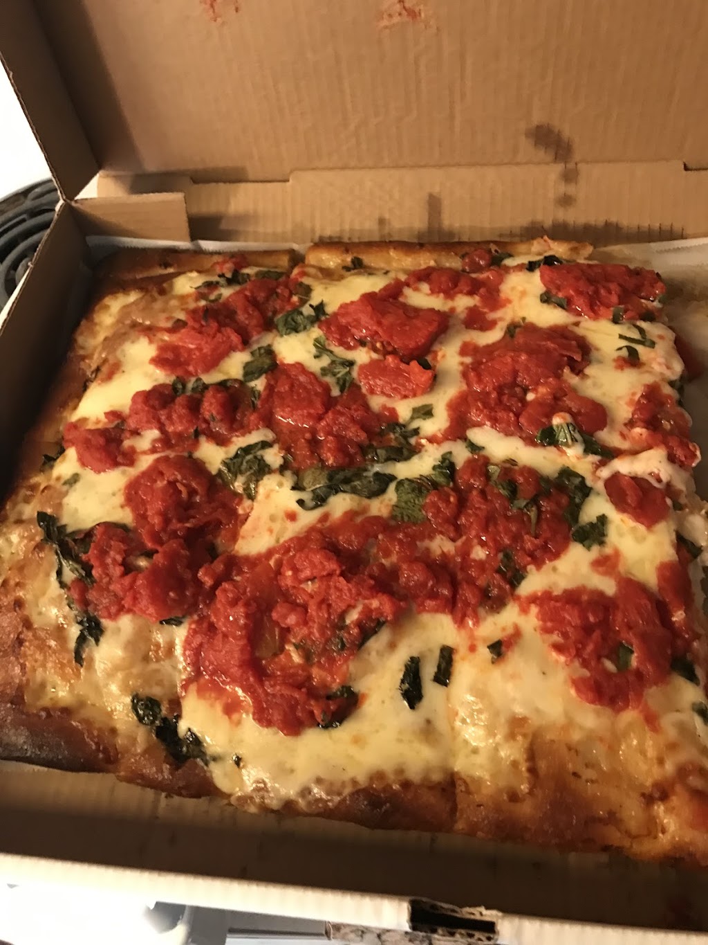 Picnic Pizza | 501 Washington Ave, Kingston, NY 12401 | Phone: (845) 331-3000