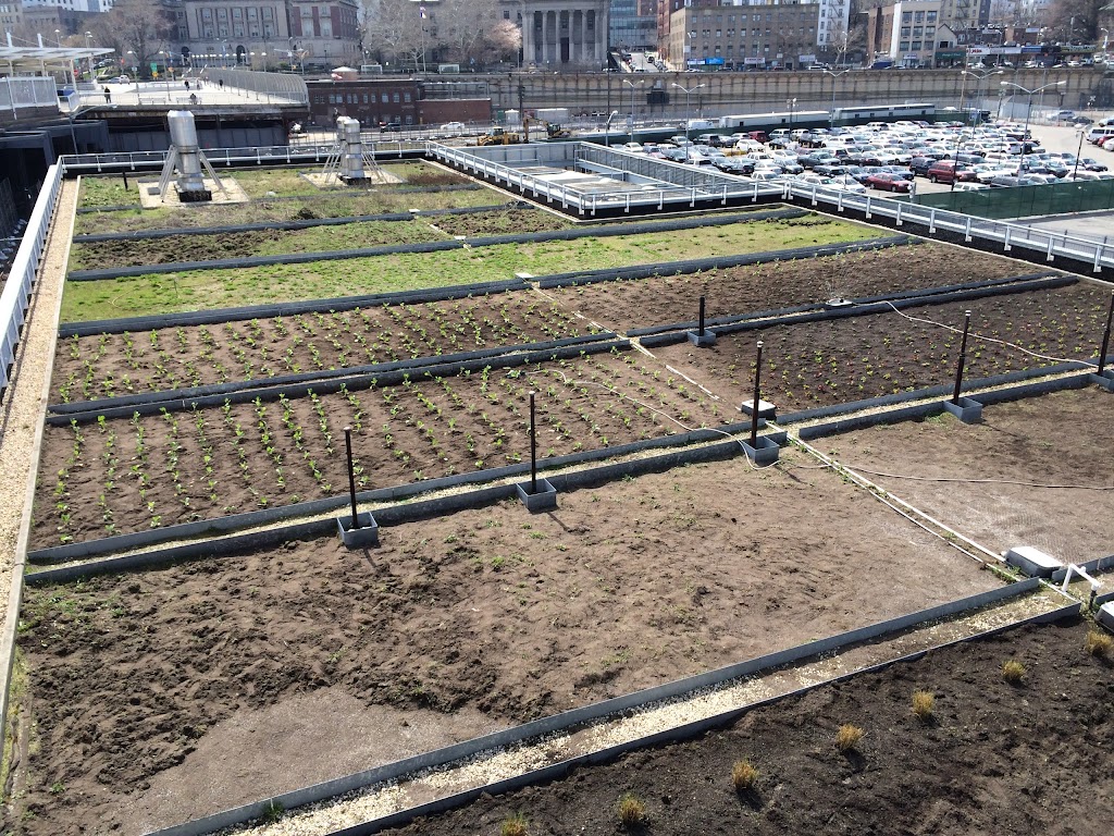 The Living Roof | 1 Ferry Terminal Viaduct, Staten Island, NY 10301 | Phone: (347) 915-4114