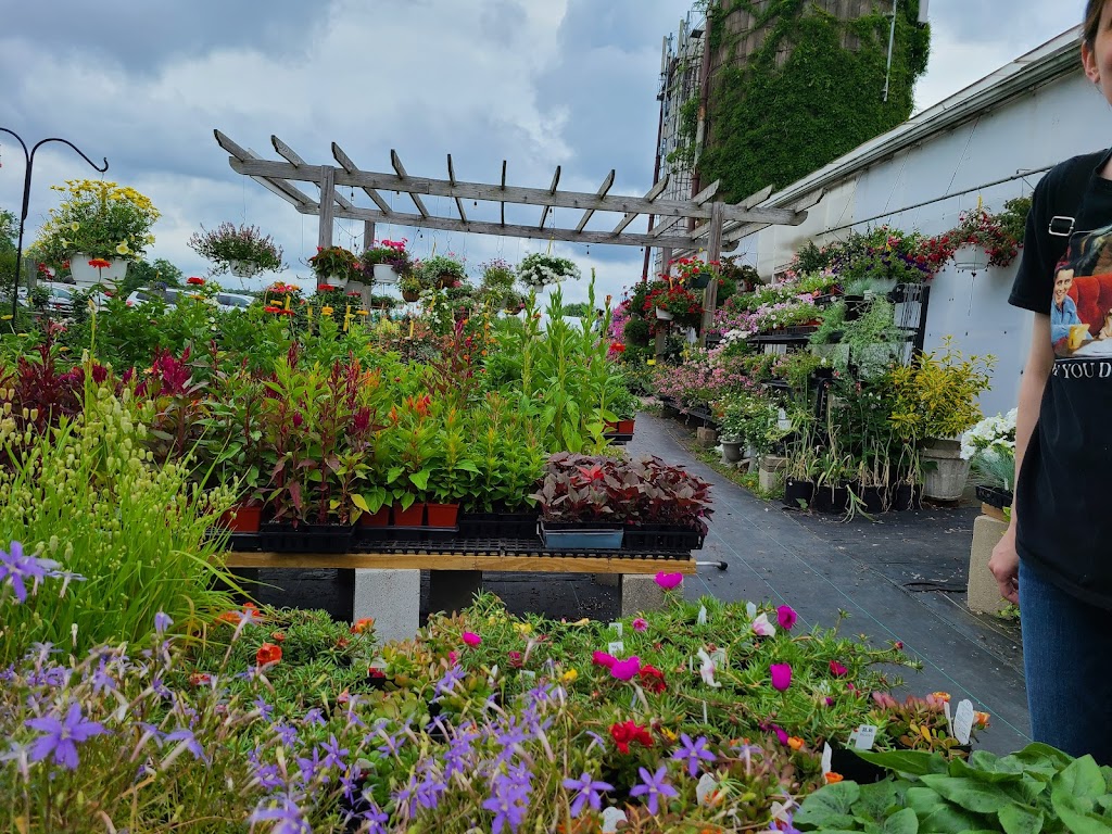 Balleks Garden Center | 91 Maple Ave, East Haddam, CT 06423 | Phone: (860) 873-8878