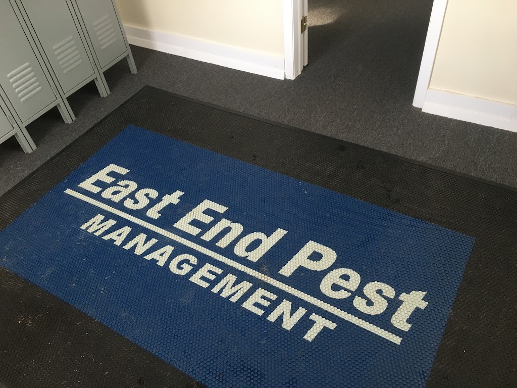 East End Pest Management Inc. | 7 Midhampton Ave Unit #5, Quogue, NY 11959 | Phone: (631) 259-9025