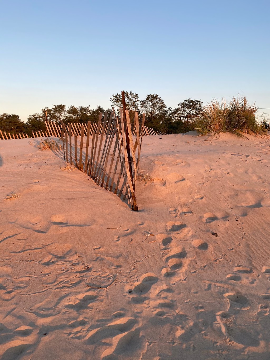 Coney Island Creek Park | Bayview Ave &, W 37th St, Brooklyn, NY 11224 | Phone: (212) 639-9675