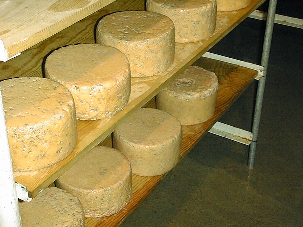 Harpersfield Cheese | 1677 Co Rd 29, Jefferson, NY 12093 | Phone: (607) 278-6622