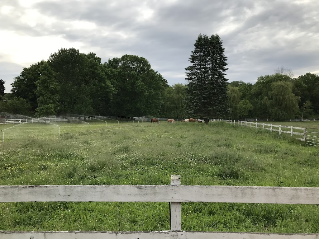 Hidden Meadow Farm | 1 Meadow Ln, Lincoln Park, NJ 07035 | Phone: (973) 255-7867