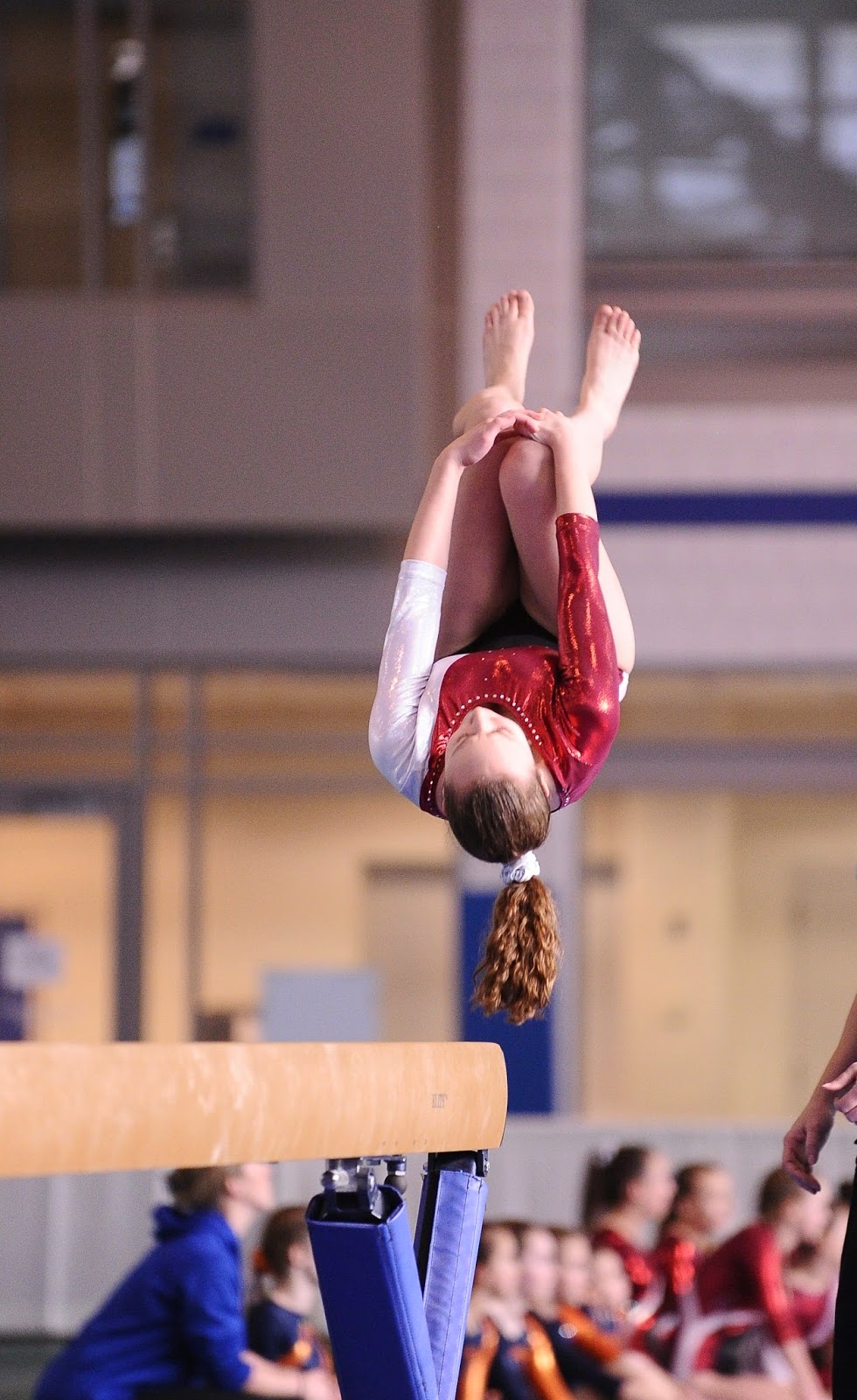 Whip City Gymnastics | 110 Ffyler Pl, Suffield, CT 06078 | Phone: (860) 936-1833