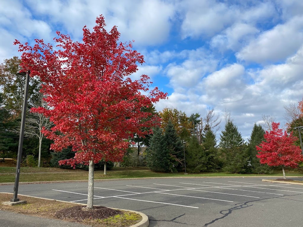 Southbury Library | 100 Poverty Rd, Southbury, CT 06488 | Phone: (203) 262-0626