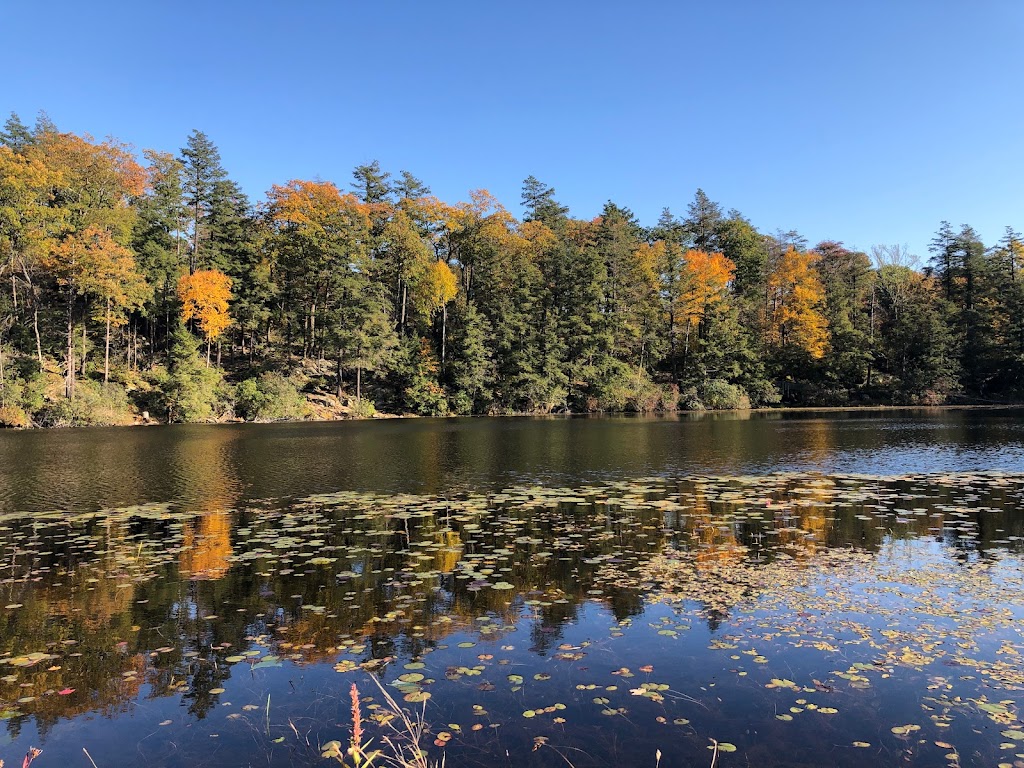 Pelton Pond - Fahnestock State Park | 1088 Cold Spring Turnpike, Hopewell Junction, NY 12533 | Phone: (845) 225-7207
