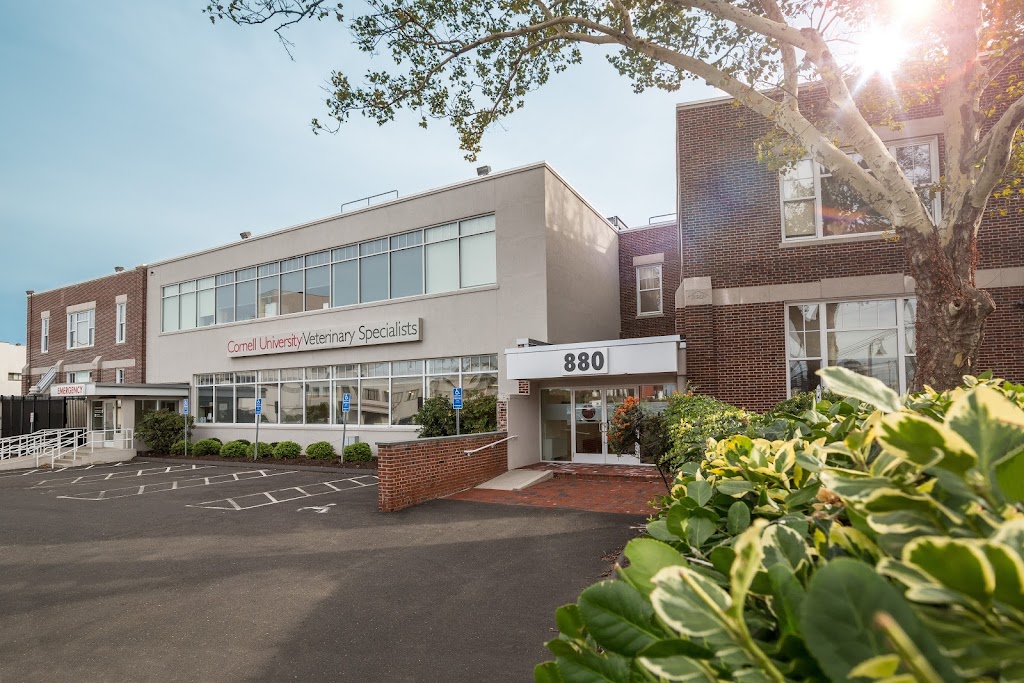 Cornell University Veterinary Specialists | 880 Canal St, Stamford, CT 06902 | Phone: (203) 595-2777