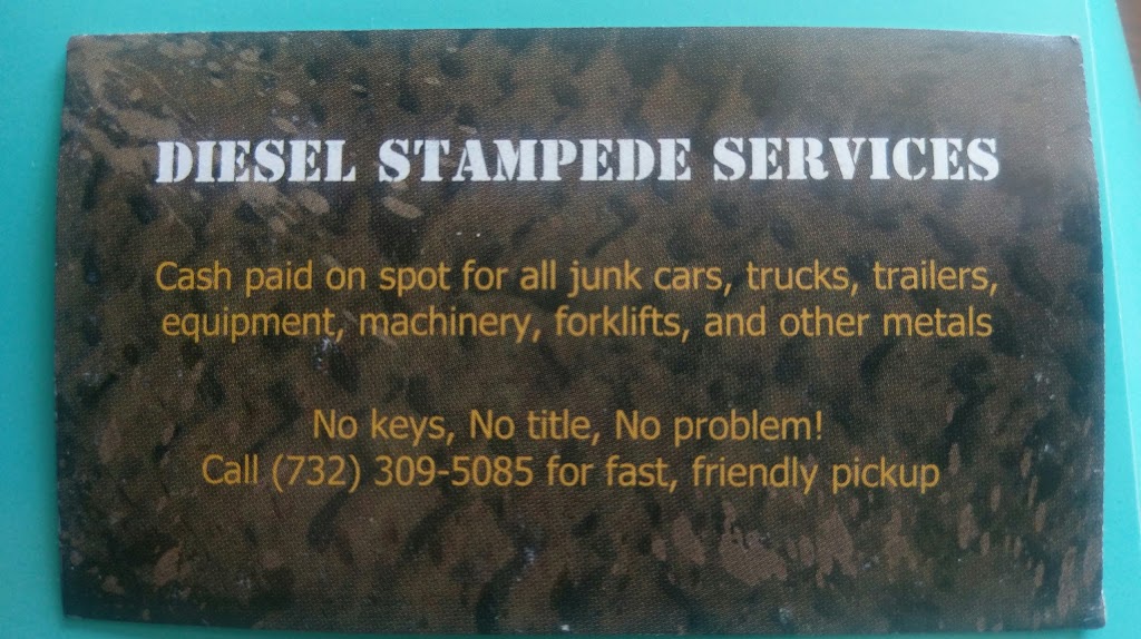 Diesel Stampede Services LLC. | 84 Jacobstown Rd, New Egypt, NJ 08533 | Phone: (732) 309-5085
