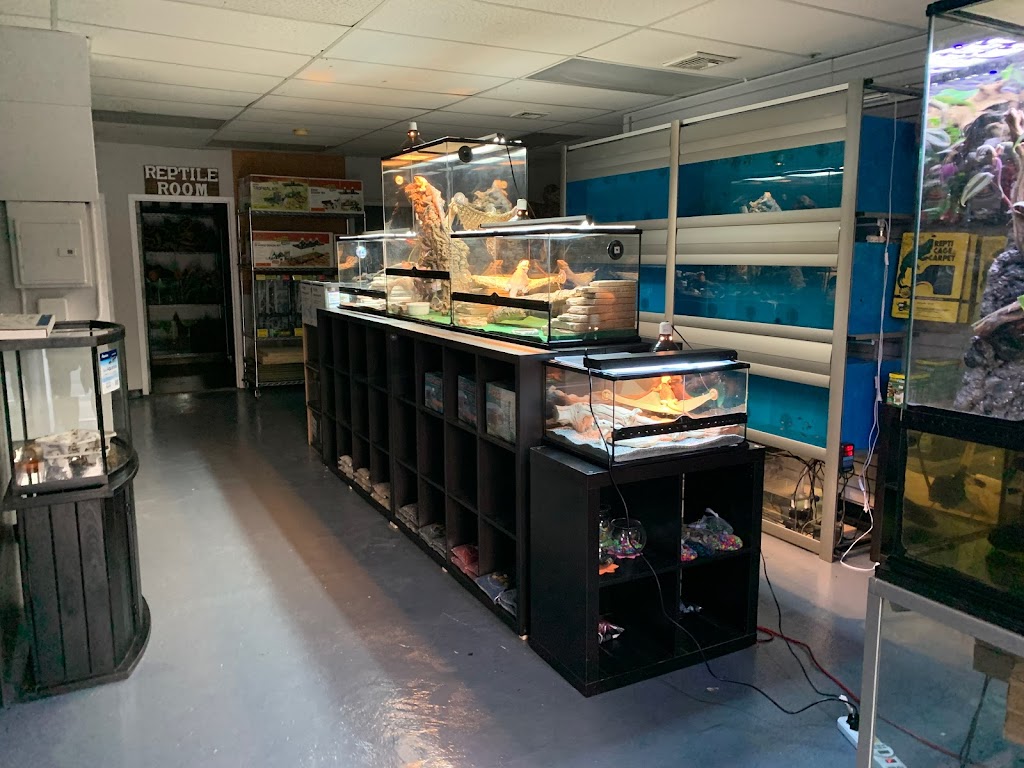 A & R Reptiles and Aquariums | 116 S Central Ave A, Elmsford, NY 10523 | Phone: (914) 372-7101