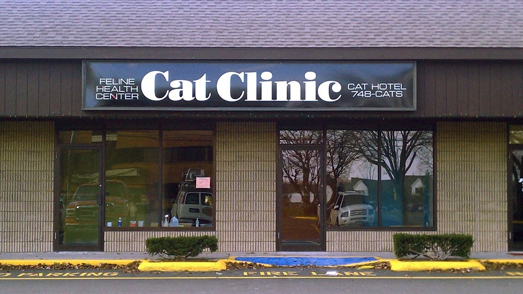 Cat Clinic | 30 Germantown Rd, Danbury, CT 06810 | Phone: (203) 748-2287